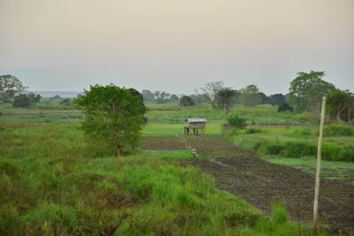 DSC_4214 (Large).JPG